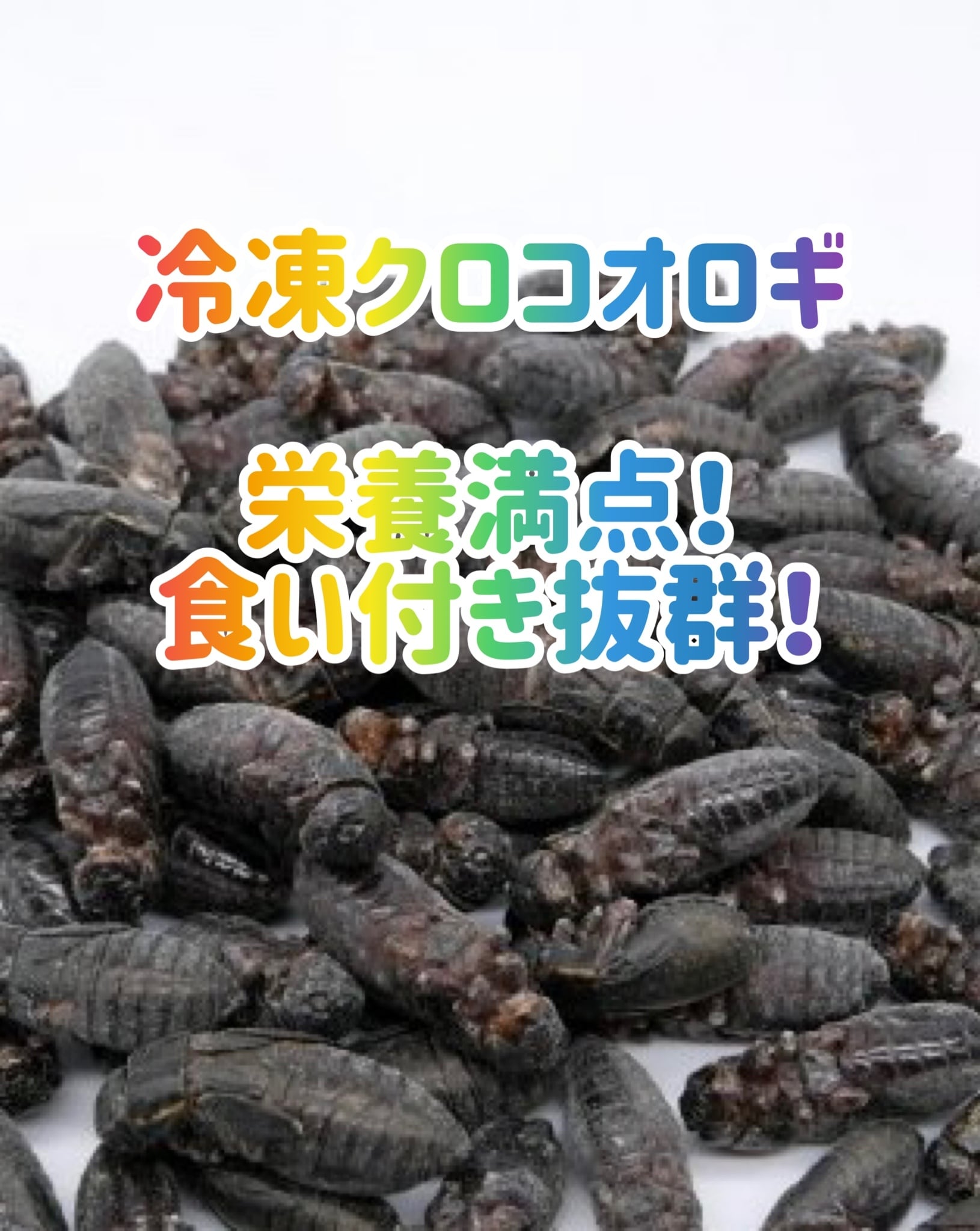 冷凍イエコML1kg+クロコML〜L300g rik1.jpg